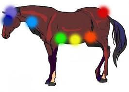 cavallo chakra.jpg2